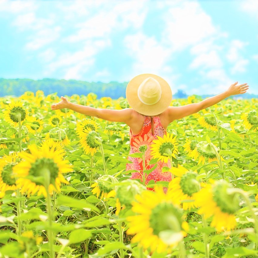 Femme avec un chapeau dans un champ de tournesols avec les bras ouverts vers le ciel.